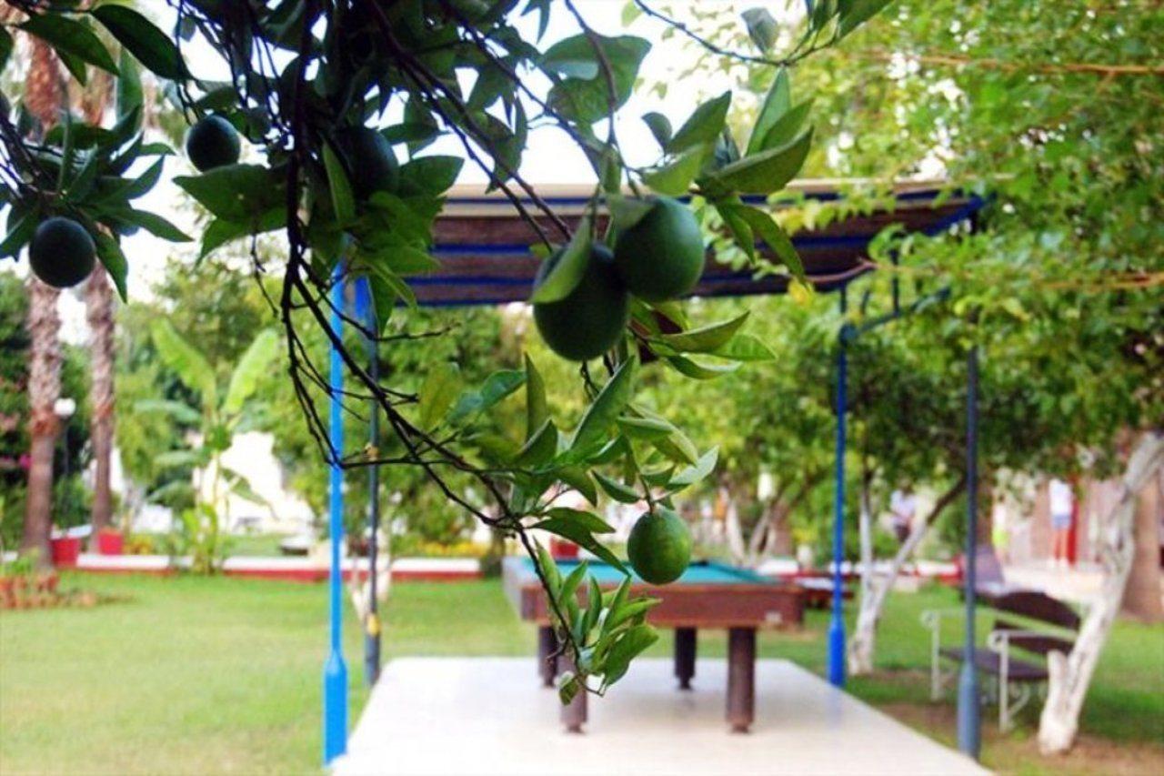 Tal Beach Hotel Beldibi  Luaran gambar